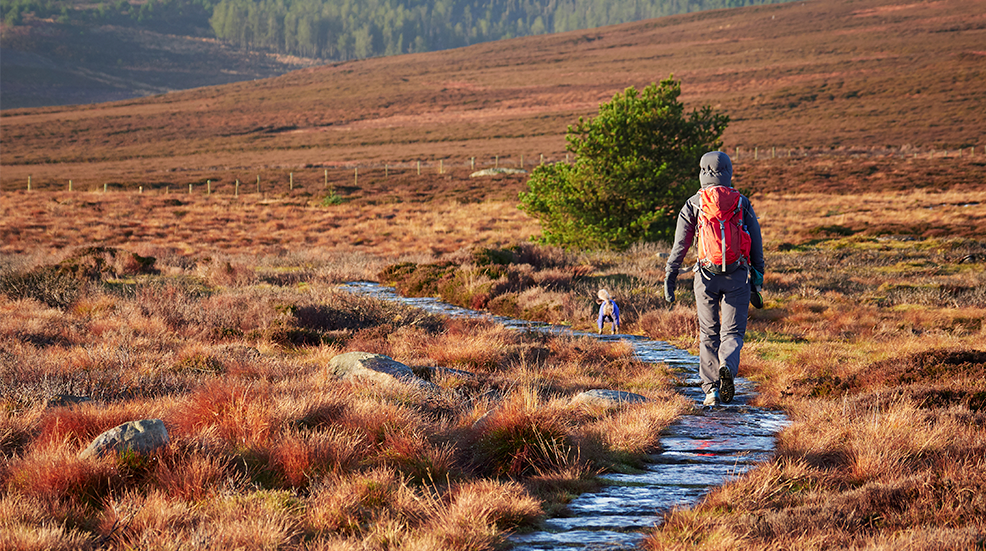 A hiker and their dog walking in the Northumberland countryside